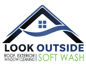 Look Outside logo