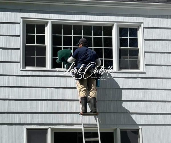 Window-cleaning-02